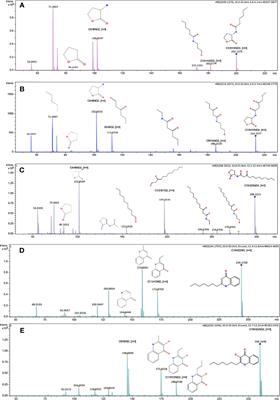 Detection of Quorum Sensing Signal Molecules, Particularly N-Acyl Homoserine Lactones, 2-Alky-4-Quinolones, and Diketopiperazines, in Gram-Negative Bacteria Isolated From Insect Vector of Leishmaniasis